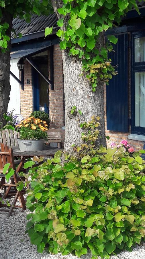 Huis De Roos De Kwakel Kültér fotó